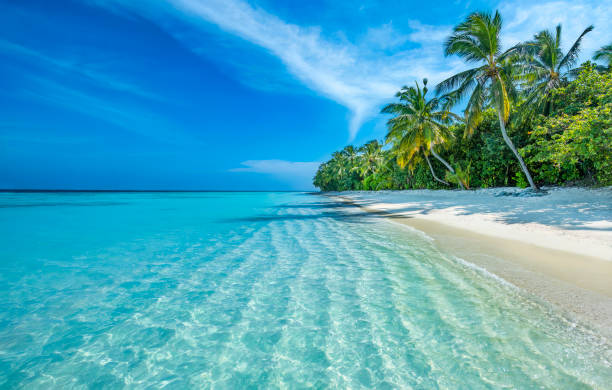 Maldives Beach Bliss